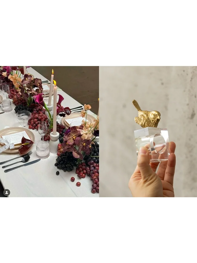 

Кольцо для салфеток Rinoart Crystal: Декоративное украшение для обеденного стола, дома, банкета, прихожей, спальни, книжного шкафа