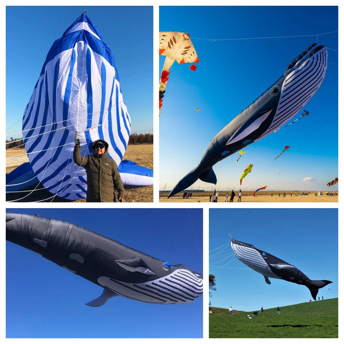 

Free Shipping 30D 9m Whale Kite Flying Pendant Kites Show Weifang Kites Factory Inflatable Alien Shark Kites Professional Coil