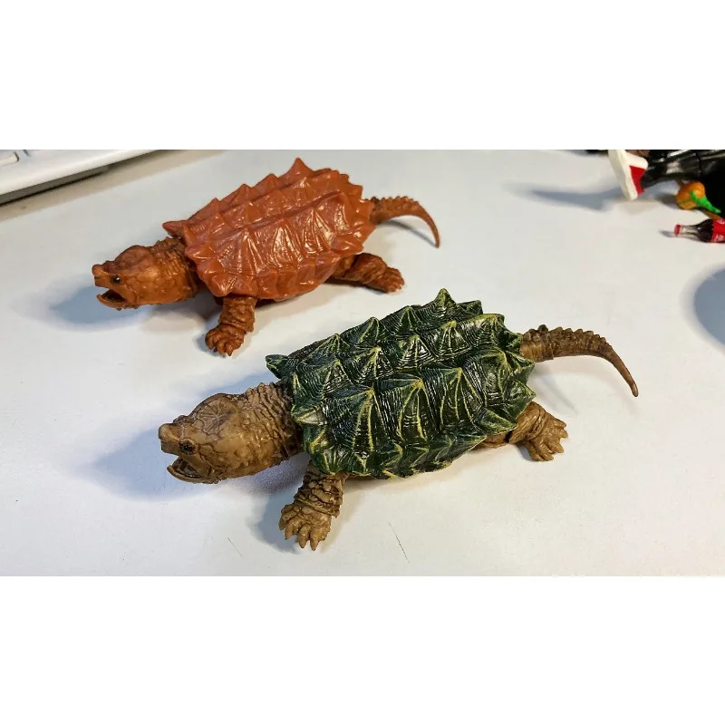 BANDAI-figura de Gashapon de Anime para reptiles, tortuga, tortuga Kawaii, modelo de acción, cápsula, juguetes, regalo para niños