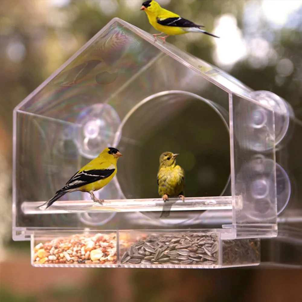 Glass Suction Cup Feeding House Acrylic Birdhouse Food Feeding Feeding Cup Birds Hanging Feeder