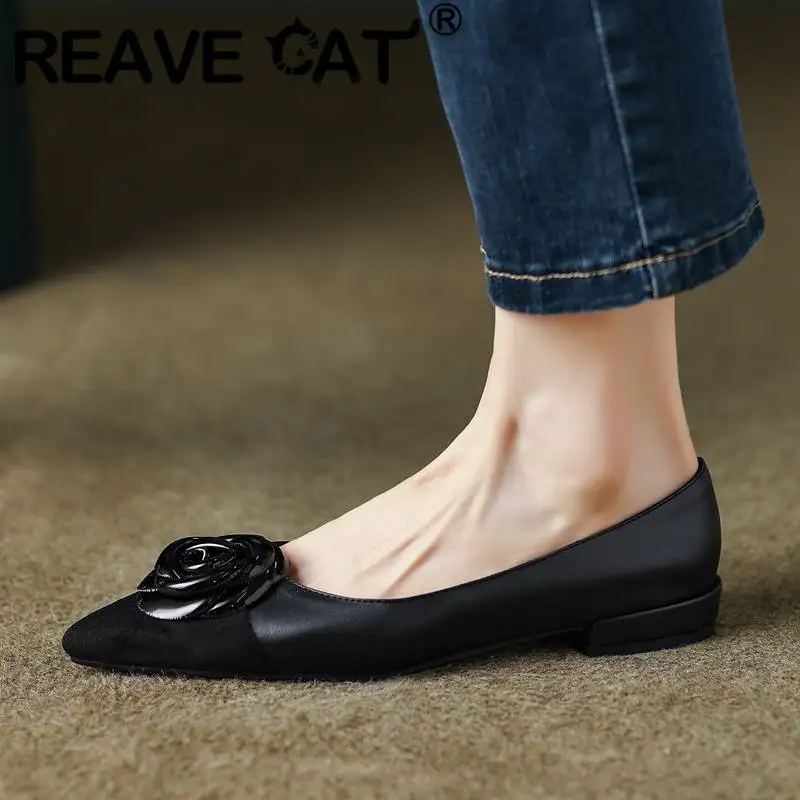 REAVE CAT Women Flats Pointed Toe Slip On Mixed Color 41 42 43 Concise Daily Female Shoes Soft Elegant S4799