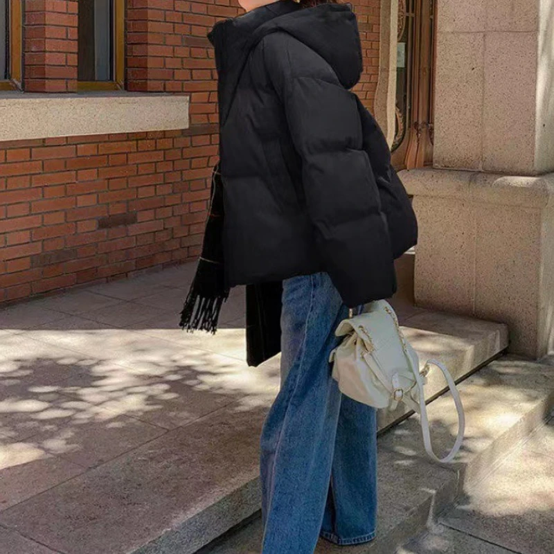 Small Cotton Jacket Women's Winter 2024 New Korean Design Down Padded Jacket Short Padded Jacket