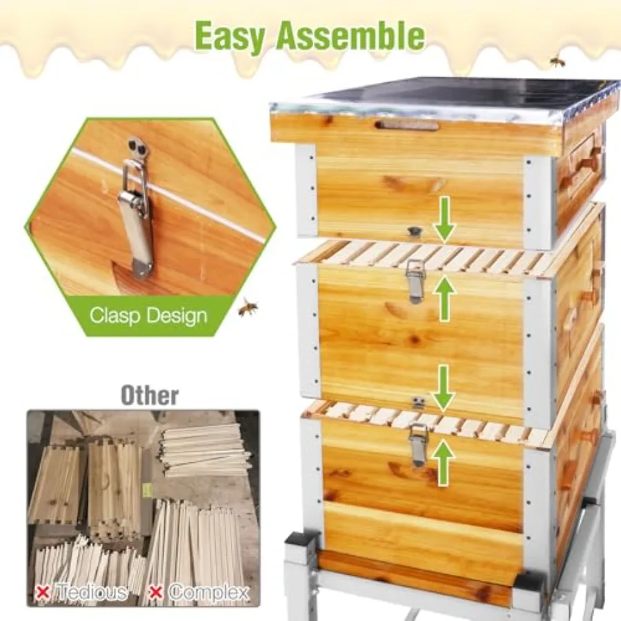 خلية نحل لانجستروث مكونة من 10 إطارات مع إطار معدني وحامل مغموس في 100 شمع عسل للزراعة المنفوخة وإنتاج العسل تتضمن Wo