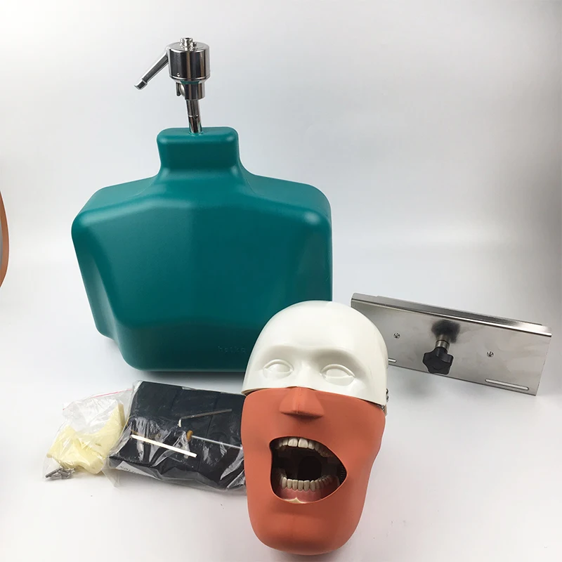 Dental Education Model Dental Manikins Phantom Head Sennior Manikins Phantom Head With Torso For Dental Practice And Training