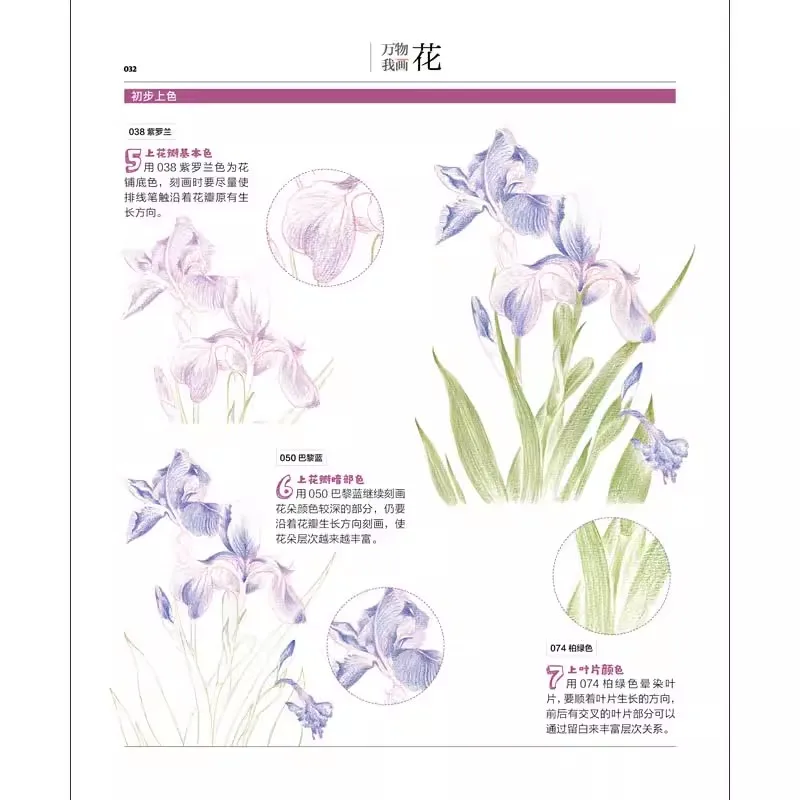 Chinese Colored Pencil Landscape Animal Flower Painting Art Book/ Color lead painting introduction Tutorial