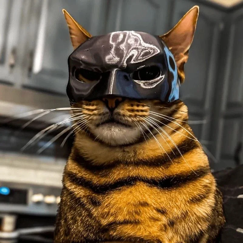 3D Printed Cat Mask