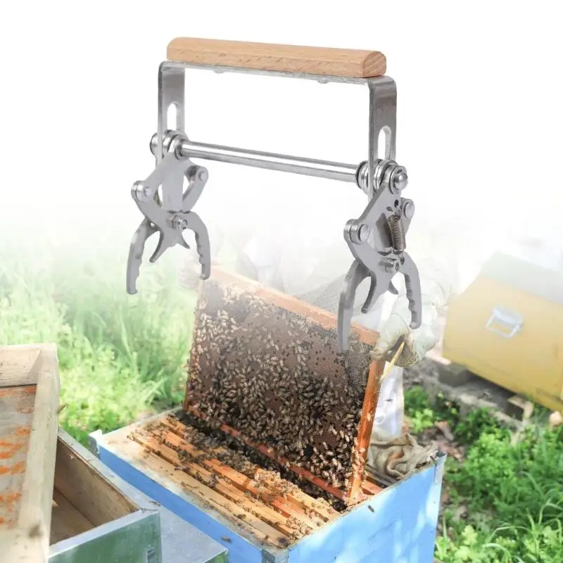 R66A HIVES MARCO DEL ARRPA DEL ARRPA MANEJA MANO HERRAMIENTA EQUIPO MANEJA MADERA