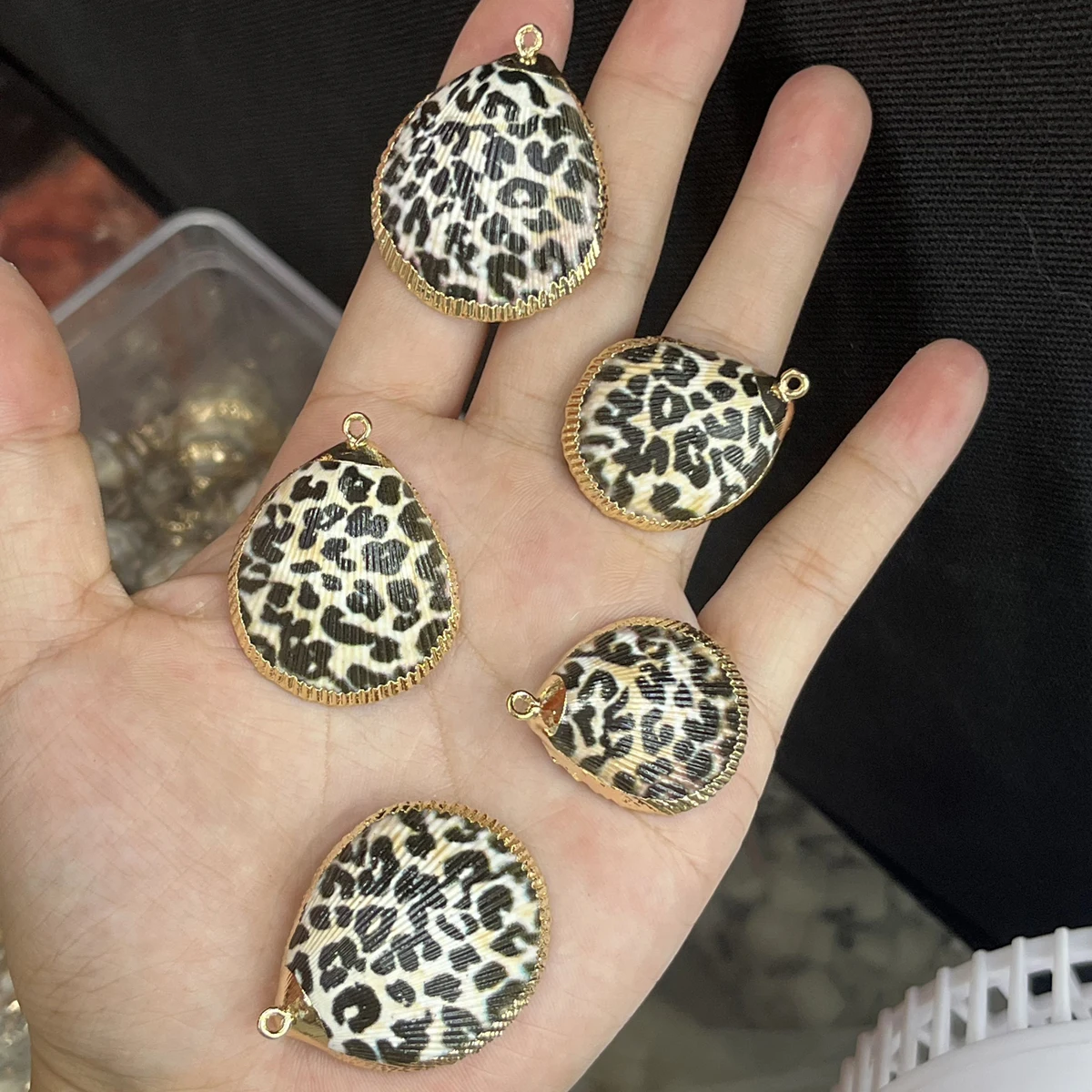 10pc Natural Scallop Shell Pendant Black Snails Exquisite Conch Seashell Charms for Jewelry Making DIY Necklace Accessories