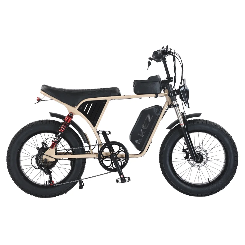 2025 New AKEZ 20 Inch 48V 750 Watt Fat Ebike Remote Electric Mountain Bike Adult Assisted Full Suspension Electric Dirt Bike image 2