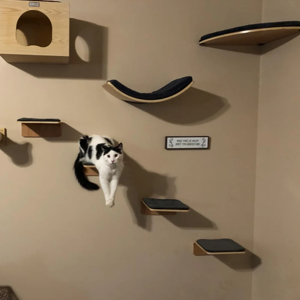 

1 Piece Wall Mounted Cat Wood Shelf Cat Hammock and Jumping Platform with Stairway for Kittens Indoor Furniture Playing