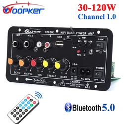 Woopker Audio-Verstärkerplatine D10/D10-II mit Bluetooth AUX USB 30–120 W für 4-Ohm-Lautsprecher 110 V–220 V 12 V/24 V Power AMP-Modul