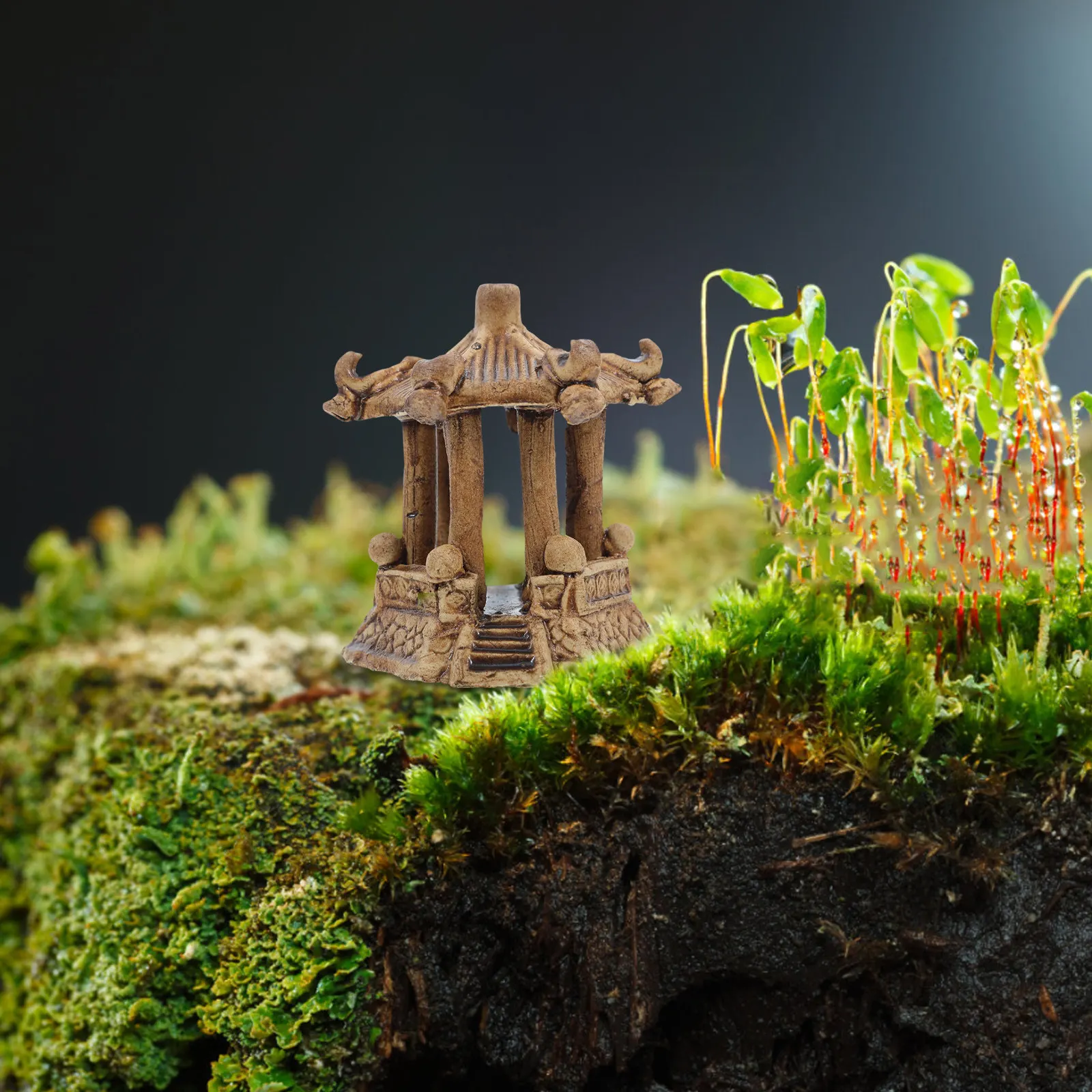 Statua in Ceramica Miniatura a - Bonsai Gardening recensione e prezzo