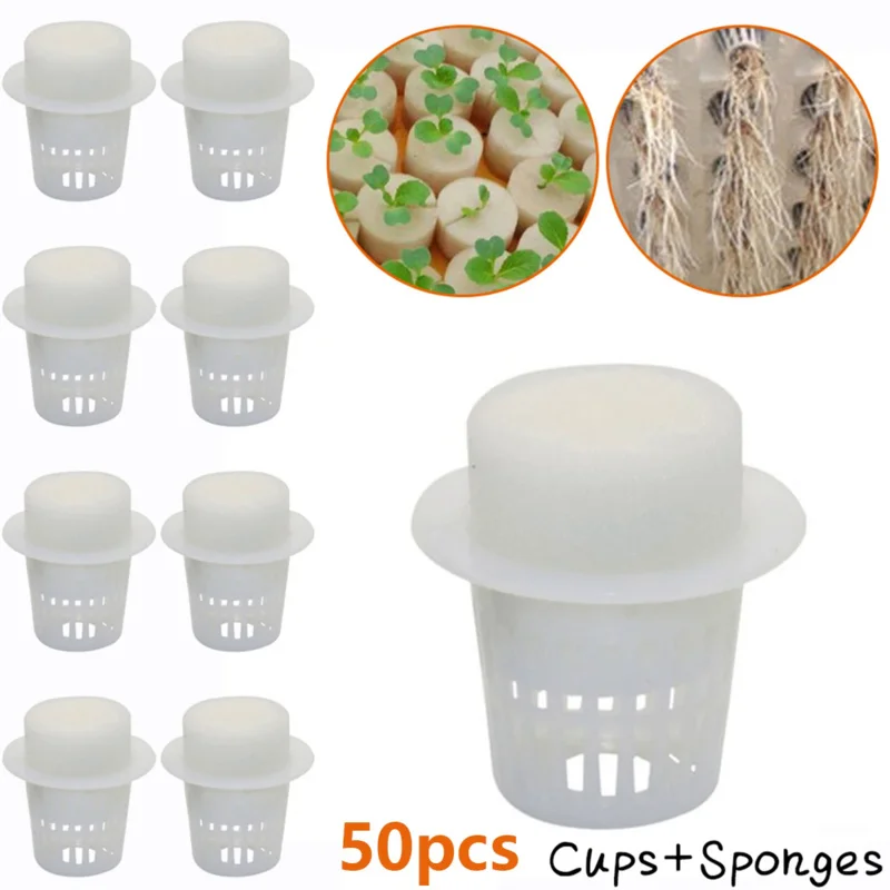 50PCS Plant Net Cup & 50PCS Cylinders Sponge For Hydroponics Aquaponics Orchids Plant Starting UV Resistant Plastic Net Cups