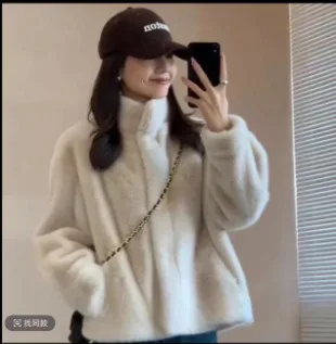 Frauen Faux Pelzmantel Kurze Jacken Stehkragen Dicke Warme Flauschige Shaggy Oberbekleidung Herbst Winter 2025, Streetwear Mantel