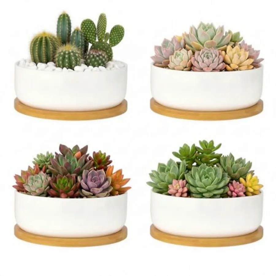 Succulent Pots6 ch Succulent Planters with Draage and Tray White Ceramic Planters for door Plants Round Flower Plant Pots of