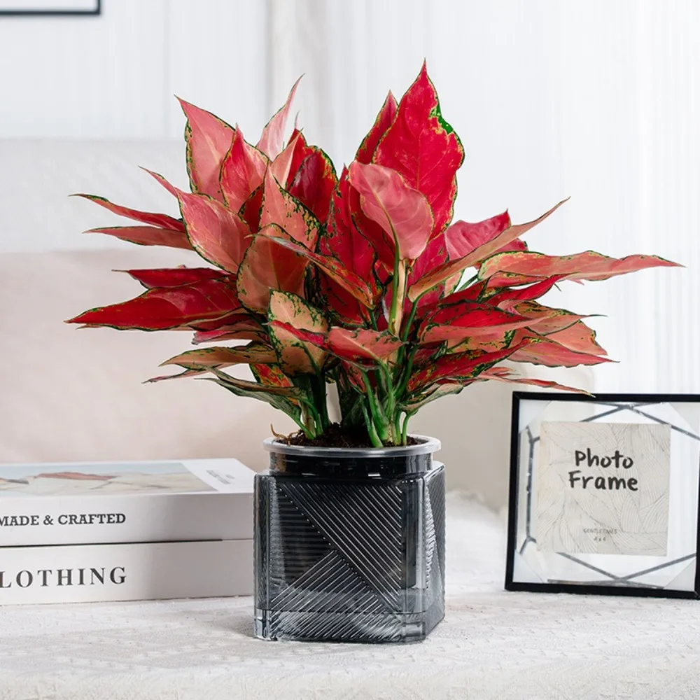 Modern Double Layer Flower Pot Plastic Home Decoration Self Watering Flowerpot Cotton Rope Square Plant Pot Home