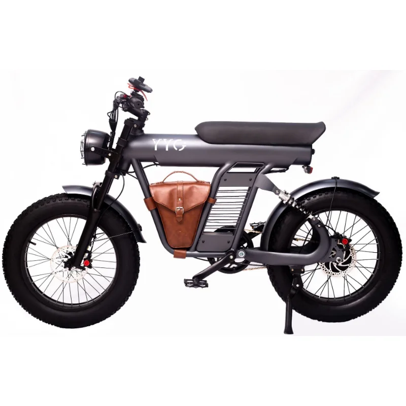 48V/1200W Electric Bicycle 20 Inch Electric Bicycle Dune Buggy Snowmobile Electric Motorcycle High-power Electric Motorcycle