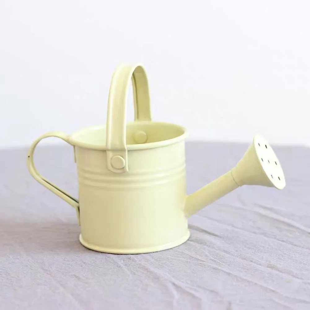 New Metal Watering Can Garden Flower Kettle Mini Small Water Spraying Pot Sprinkle With Large Capacity For Kids Adult