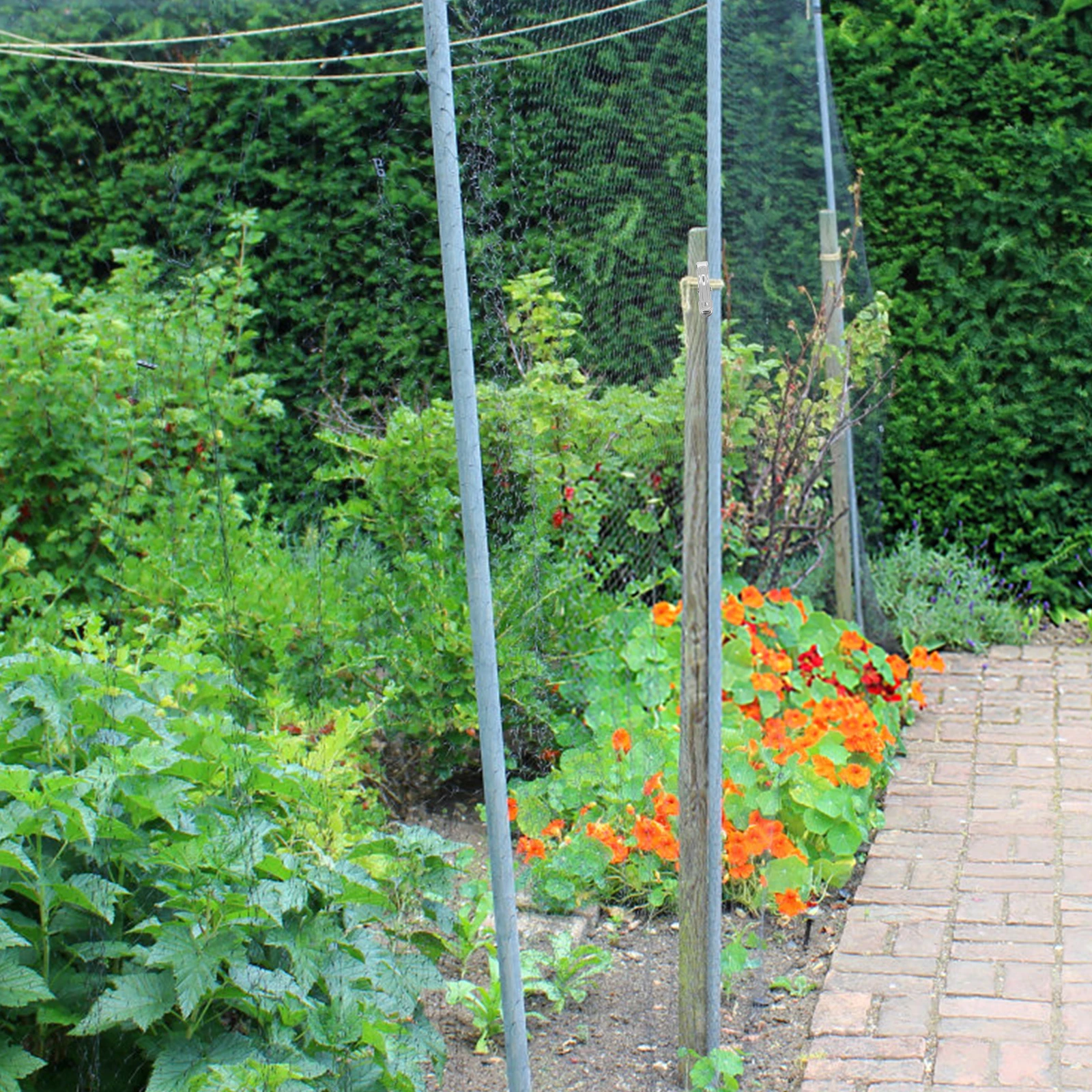 

60Pcs Household Clothes Clip Heavy Duty Windproof Drying Clamps for Quilts Sheets Pants Underwear Outdoor Indoor Use