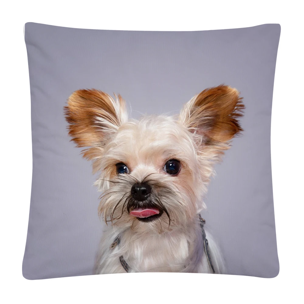 Funda De CojíN De P… - image