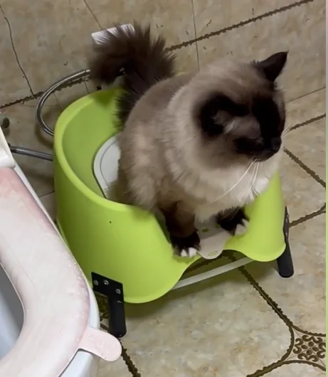 Smart Induction Automatic Flushing Open Design Pet Squatting Potty Litter Box for Indoor Household Cat Dog Daily Use