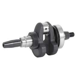 192F 192FA 12HP Tapered Conal Crankshaft Assy. With Gear and Bearing Fixed Applied For 7.5KW-8KW Air Cool Diesel Generator Set
