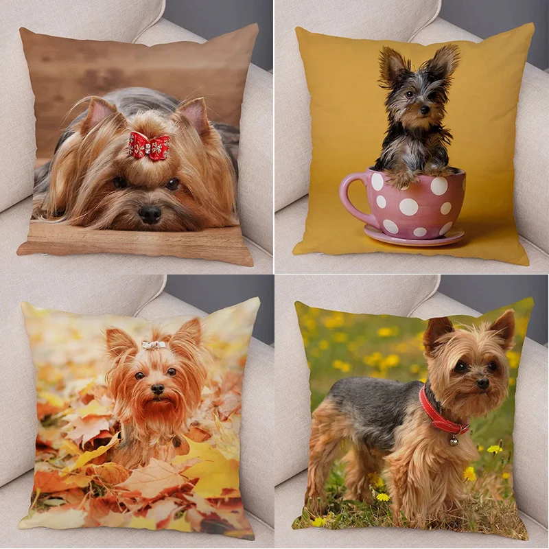 Funda De CojíN Con … - image