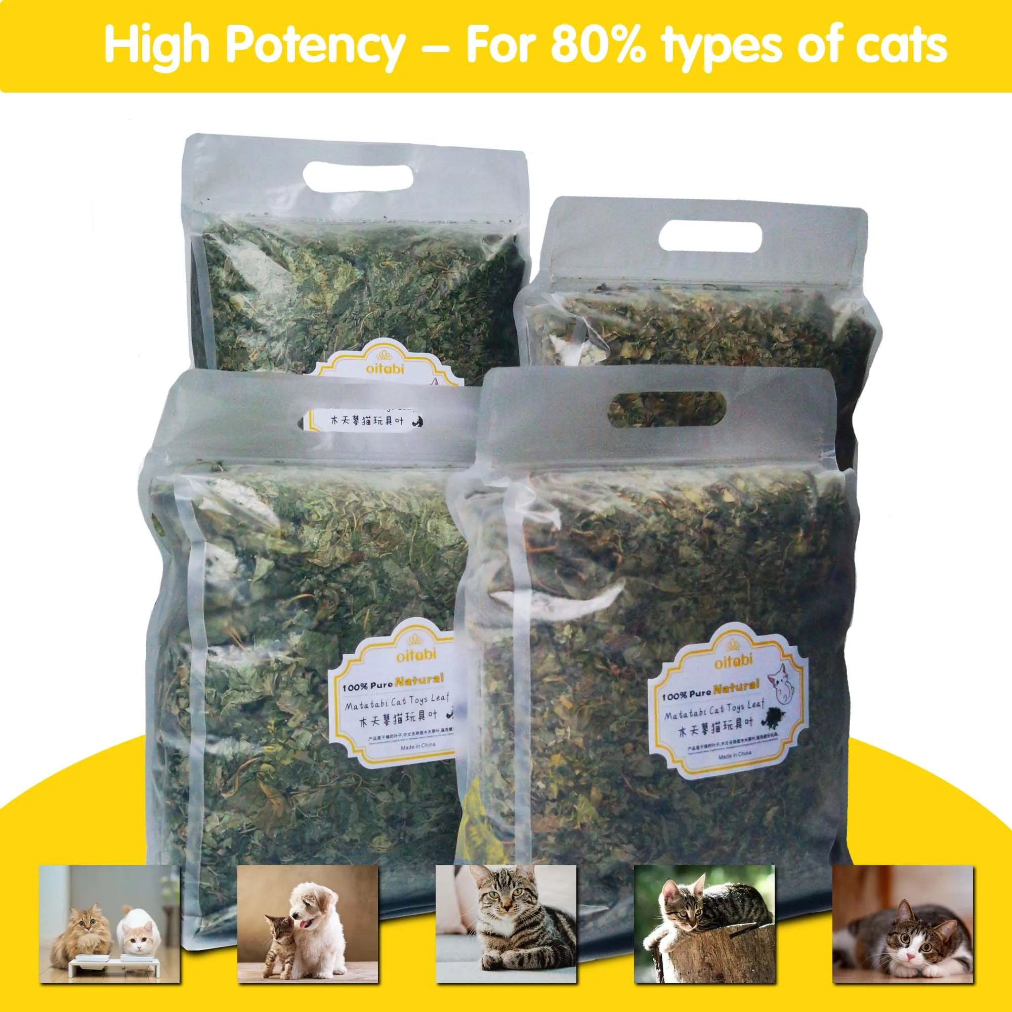 Imagem -04 - Oitabi Silvervine Folhas para Gatos Indoor Brinquedos Interativos de Dentição do Gatinho Cat Chew Snacks Folhas Matatabi 1950g