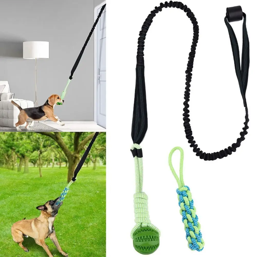 

Interactive Dog Ball Toy with Rope Puppy Training Solo Play Spring Pole Dog Rope Toys Tether Tug of War