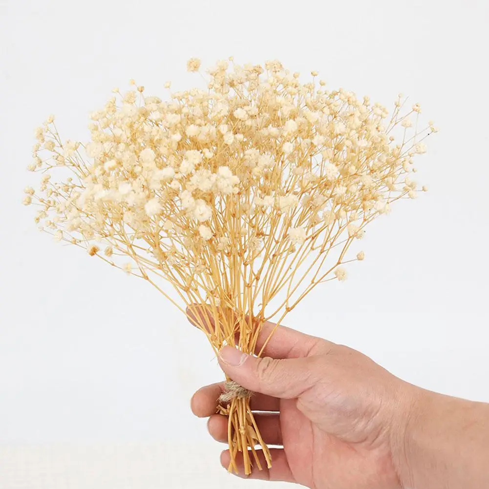 100 STKS Mini Gedroogde Gypsophila Bloem DIY Aromatherapie Valentijn Bruiloft Foto Prop Decor Home Decor Eeuwige Bloemen