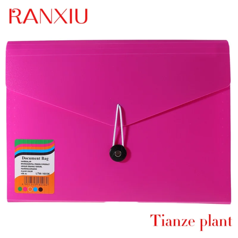 Pasta Eco-friendly Card PP File, Top Loader Paper, Pinch Binder, Documento de bolso, Para coletar documentos, My Clear Bag