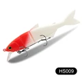 HS009