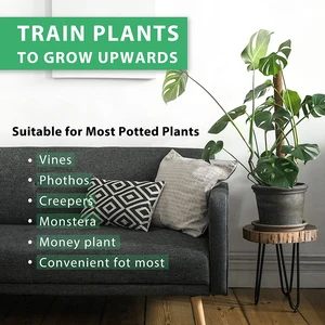 تسلق دعم نبات الطوطم القطب ، وحصة النباتات الداخلية Sphagnum Moss Coconut Fiber Creeper Frame ، مستلزمات الحدائق أعلى 8 مبيعات تسلق شجرة جوز الهند - رقم 8