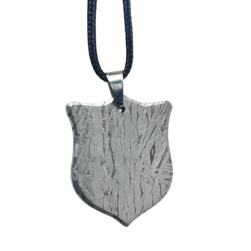 Muonionalusta Meteorite Slice Pendant Shield Carved Wild Beast Head Natural Iron Meteorite Necklace Collectible - LK322
