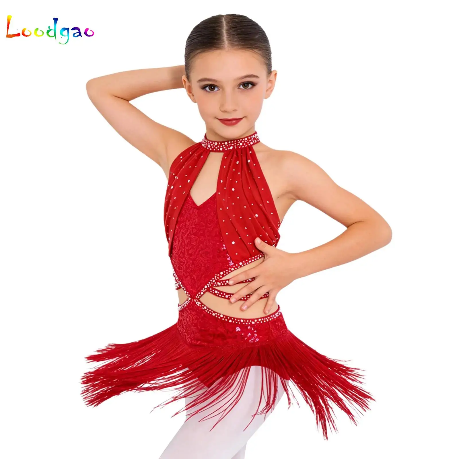Kids Girls Glittery Rhinestone Gymnastics Leotards Ballet Latin Dance Performance Costume Shiny Sequin Ruched Mesh Overlay Dress