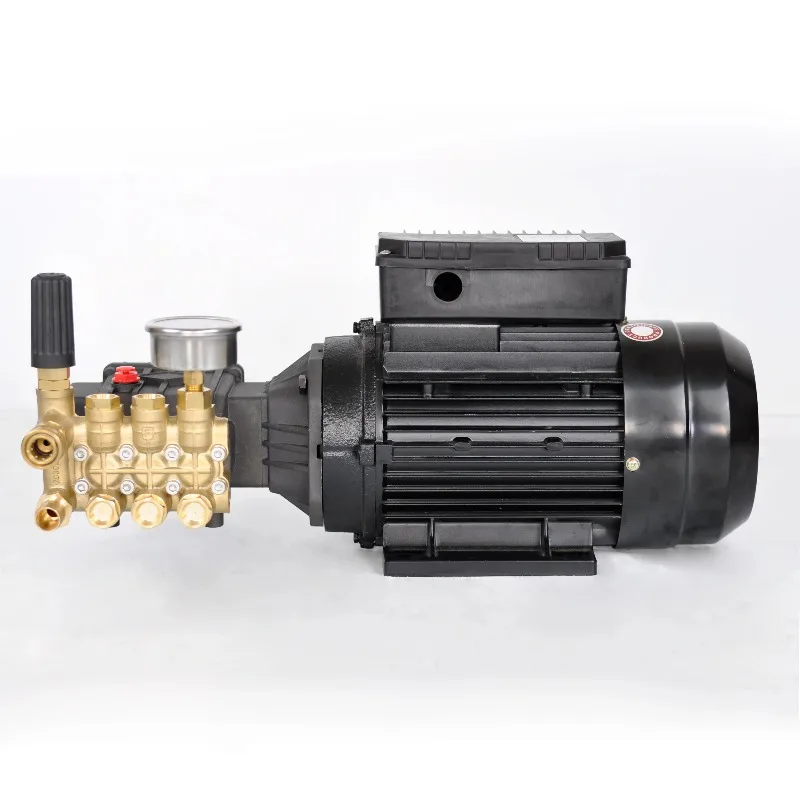 High Pressure Cleaning Machine Electric Motor Pump Assembly High Pressure Water Pump for Car Wash Triplex Plunger Pump 380V