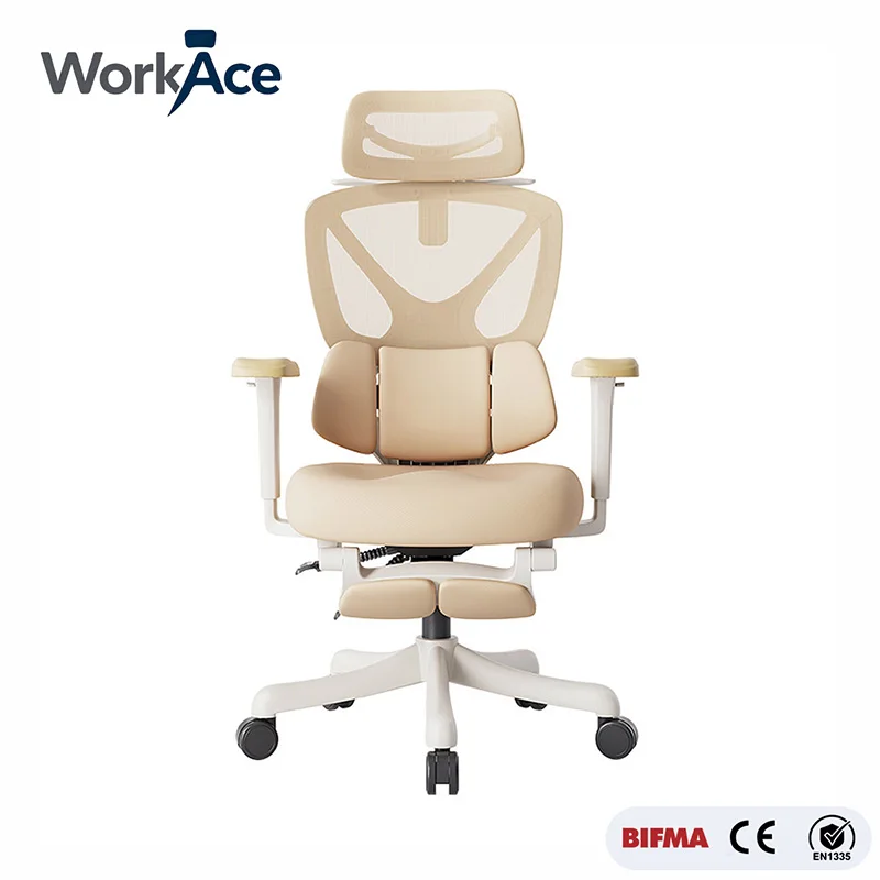 Ergonomic High Back Mesh Office Chair Adjustable Headrest Lumbar Support Twin Wheel Caster Workstation Factory Direct