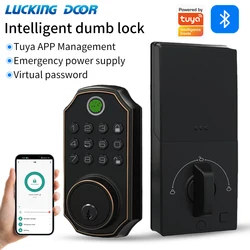 Support Tuya App Remote Control Door Lock Deadbolt Key Fingerprint Lock electronics Digital Indoor House Electronic Lock LD02/03