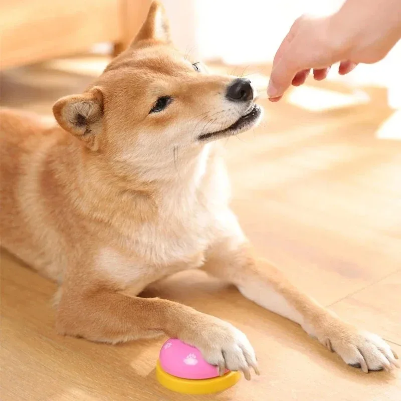 Dogs Training Bells Cat Meal Bell Puppy Feeding Call Bell Child Hand Ability Training Interactive Cats Toy Pet Training Button