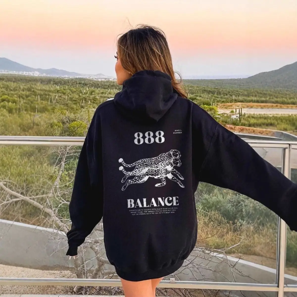 

European and American Letter Series Printed Sweatshirt, Spring and Autumn Loose Long-sleeved Hooded Sweatshirt Jacket