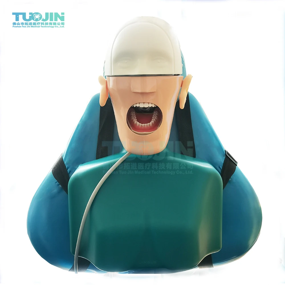 Dental Simulation Head Model Dental Implant Model Dentistry Manikins Phantom Head Sennior Dental Training Model