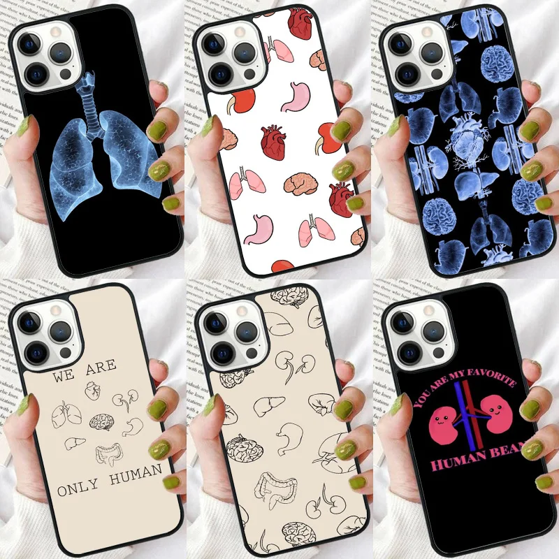 Medical Human Organs Brain Kidney Phone Case For iphone SE2020 15 14 6 7 8 plus XR XS 11 12 13 Pro max Shell Cover coque