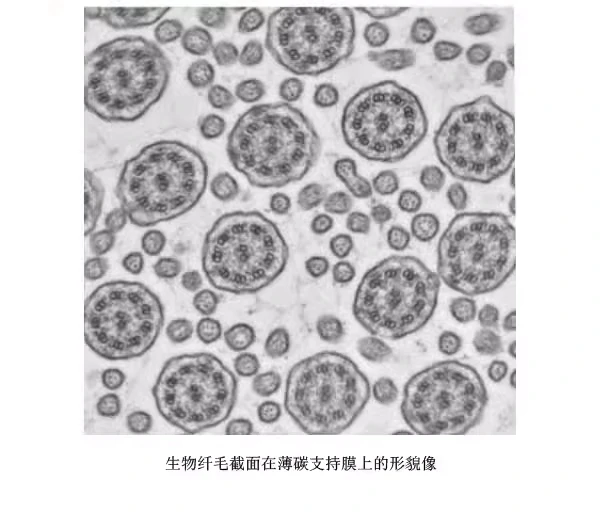50pcs100pcs, 50 to 400 mesh domestically produced copper mesh thin carbon film transmission electron microscope support film