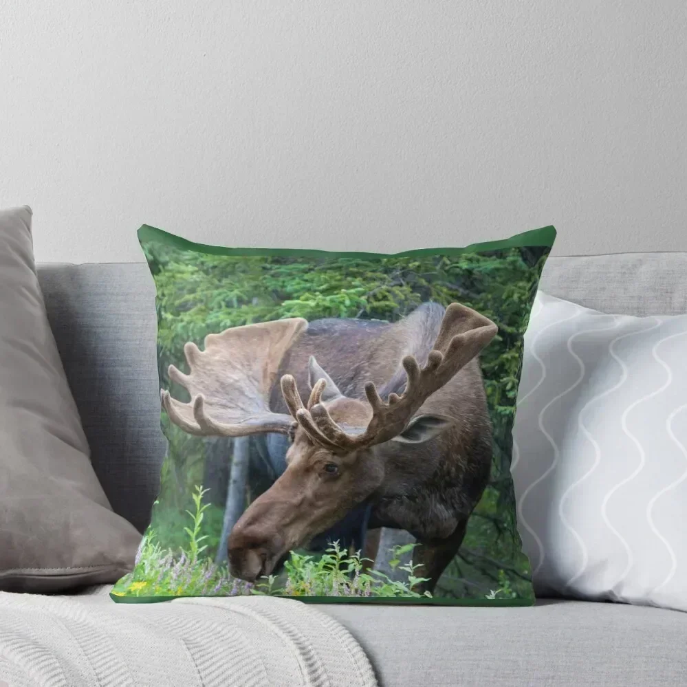 Wild Male Moose with Antlers in Alaska Throw Pillow autumn pillowcase Cushion Child Anime pillow