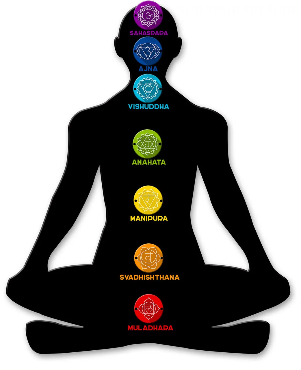 Función Aura y Chakra Analizador Nls 8d Biorezonans Metatron Iris-nls Software