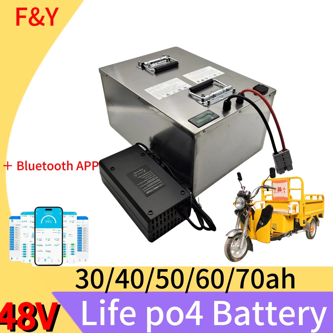 F&Y New 48V LiFePO4 Battery 50Ah 60Ah 40Ah 30Ah 70Ah with BMS 15S for Three-wheeler Skate Two-wheeler Go Kart Vehicles