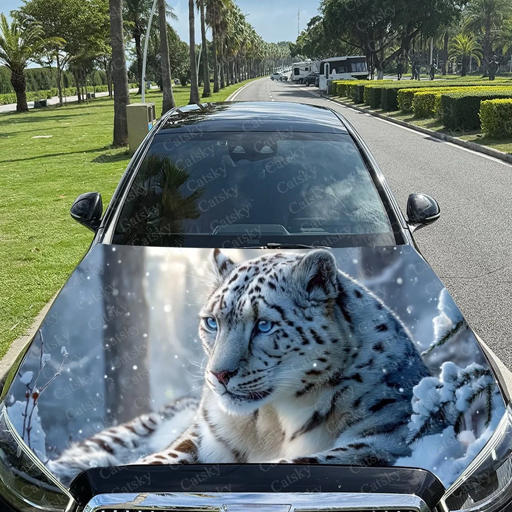

Snow leopard with striking blue eyes, set against snowy winter scene, vividly printed on car hood for bold style.Car hood sticke