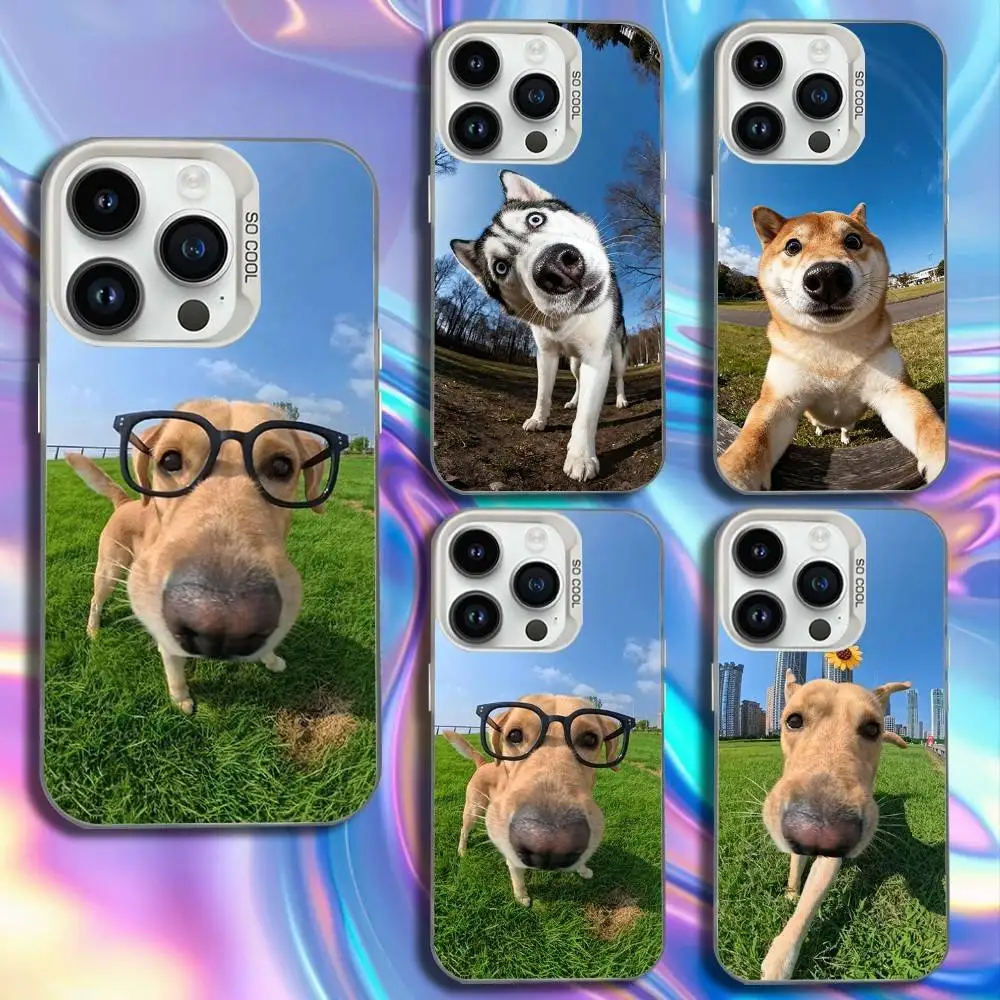 

Funny Cute Animal Phone Case For iPhone 17,16,15,14,13,12,11,Mini,Pro,SE,MAX White Matte Shockproof Cover