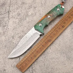 New 67 layer forged Damascus steel survival stable hand wooden handle camping fixed fruit fishing EDC cutting tool