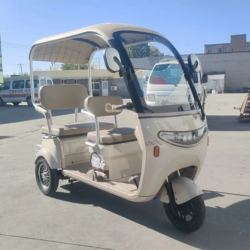 800W Electric Tricycle Electric Bicycle Canopy-covered Two-seat Electric Scooter 2026